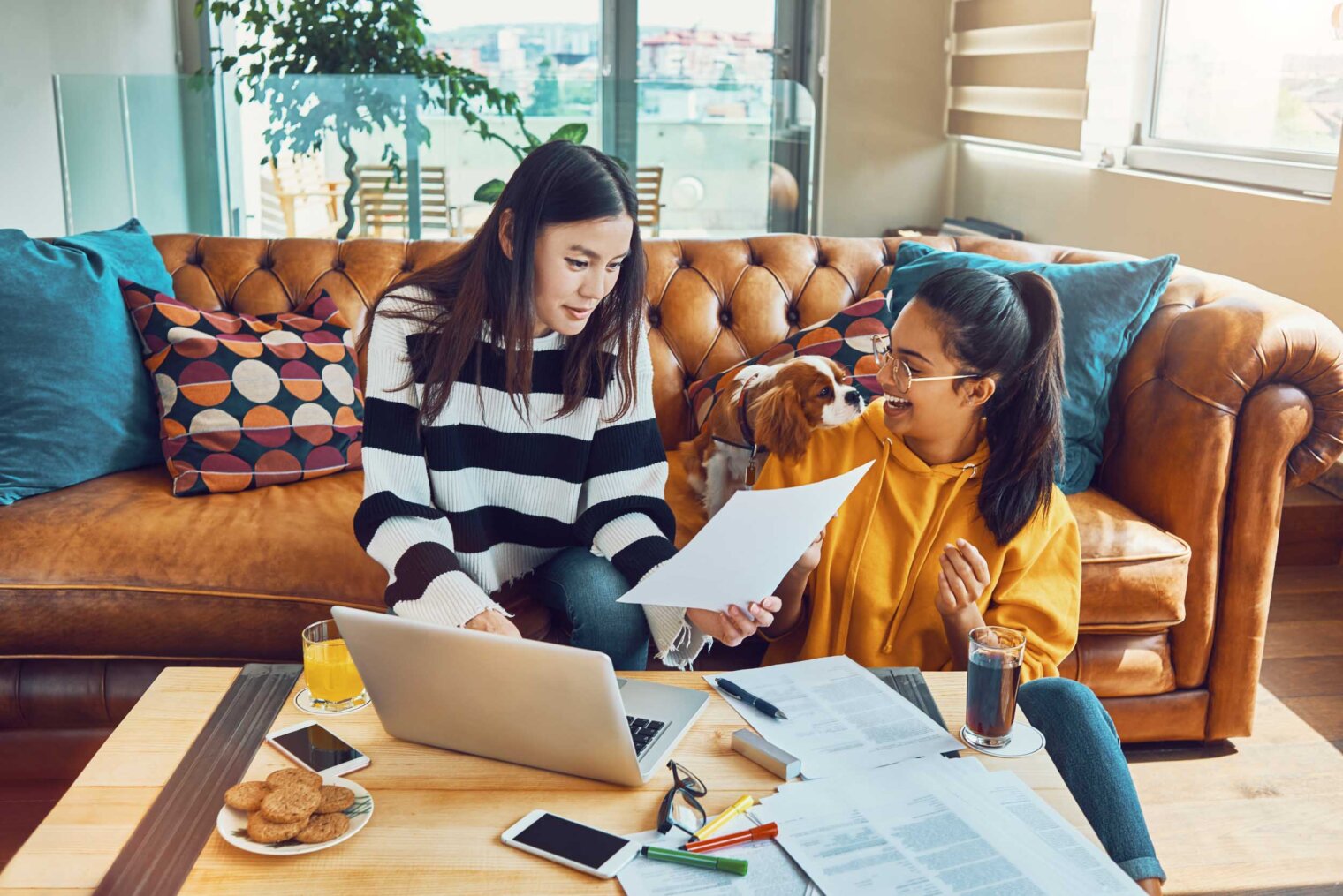 Dog friendly Apartments in Charlotte Pine 25 North End